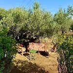 Сasa de vacaciones Charming Stone House