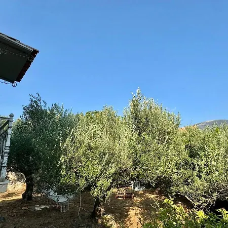 Charming Stone House Vakantiehuis